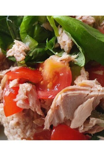 dairy free and egg free tuna salad